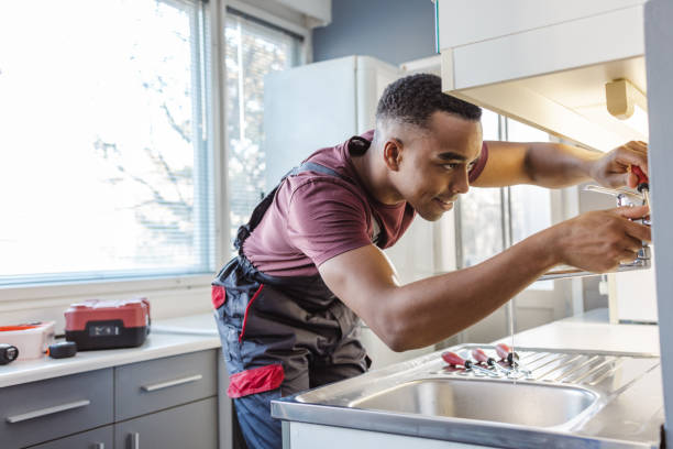 Best Local Plumber Services  in Winner, SD